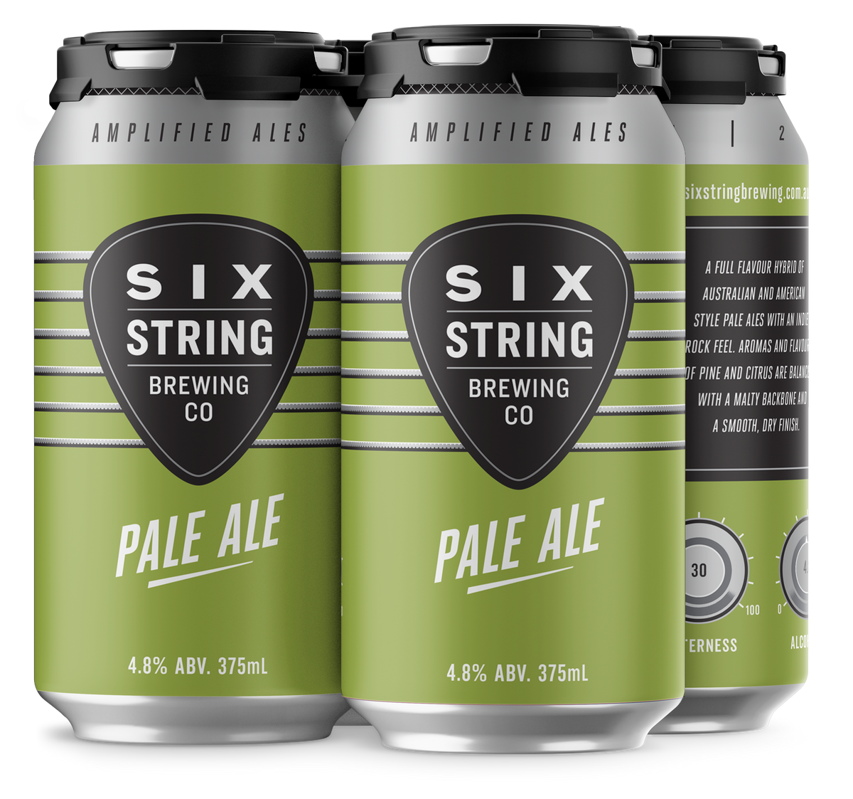 Pale Ale Six String Brewing