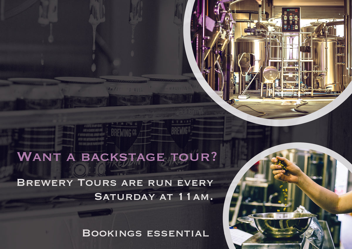 Brewery Tour & Tasting Six String Brewing